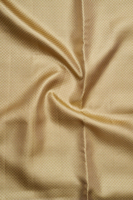 Micro-Geometric Diamond Grid & Peacock Floral Tissue Silk Saree