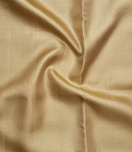 Micro-Geometric Diamond Grid & Peacock Floral Tissue Silk Saree