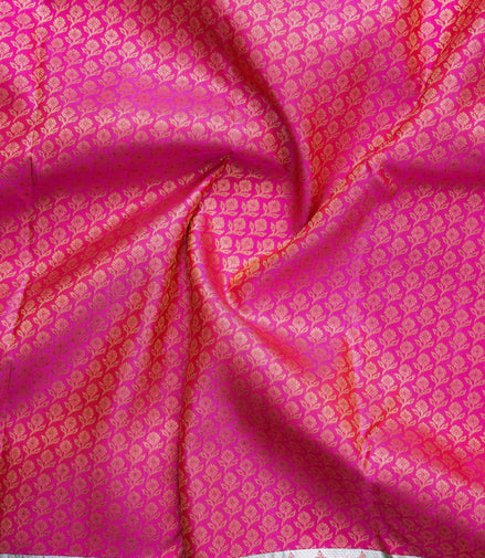 Fancy Brocade Saree with Silver Zari Work (Pure Kanchipuram Silk)