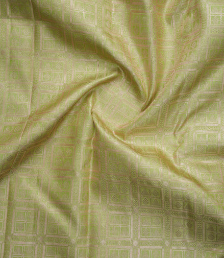 Geometric Grid & Peacock Motif Tissue Silk Saree (Silver touch with revalue)