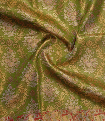 Meenakari Floral Jaal & Royal Elephant Motif Tissue Silk Saree